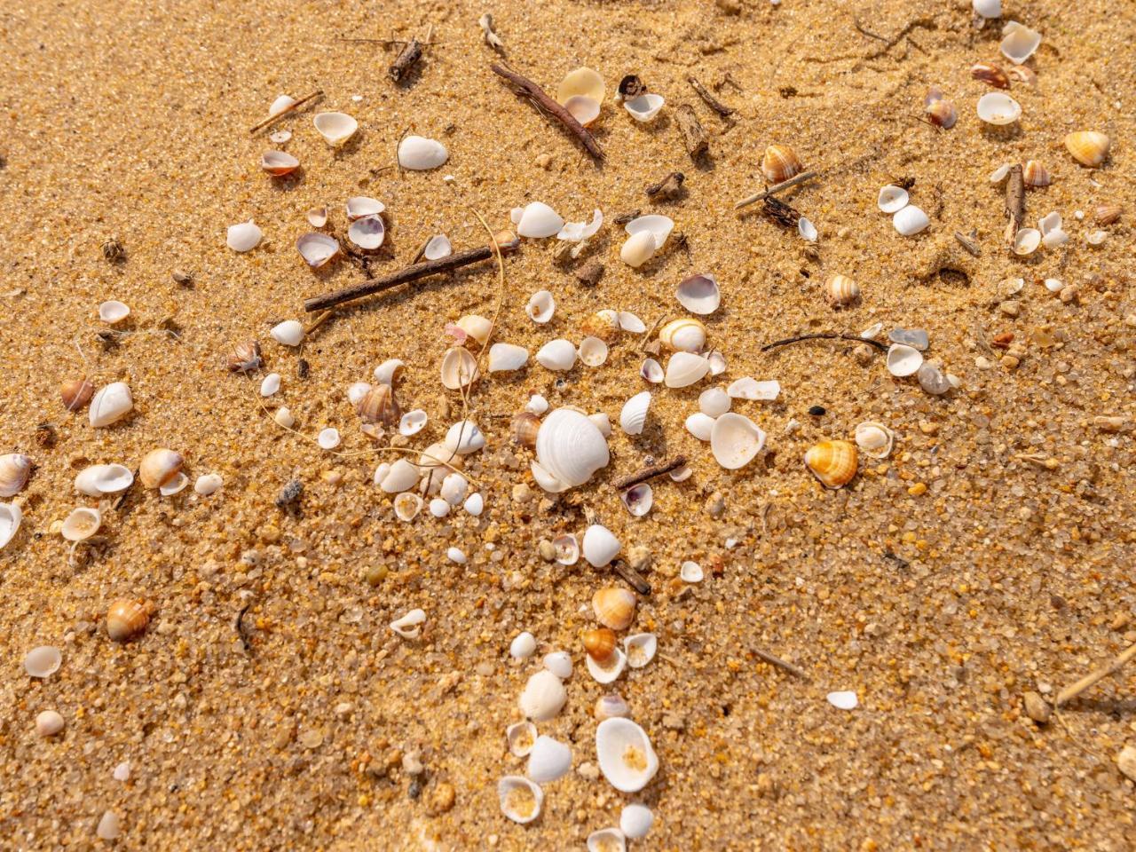 Pousada Pe Na Areia Caraguatatuba Exterior foto